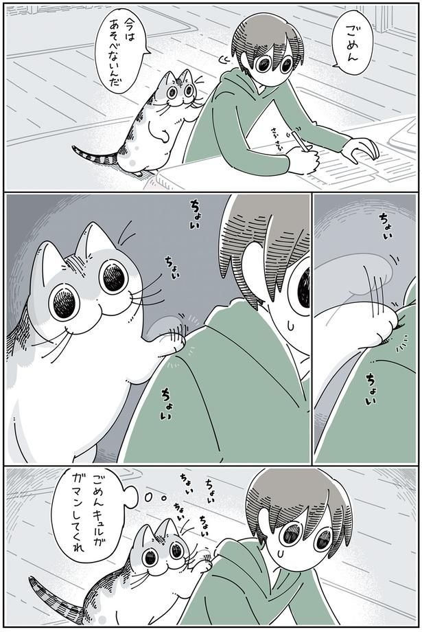 ちょいちょいちょい （C）キュルZ／KADOKAWA