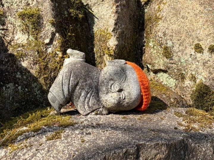 人気観光地「宮島」のここ行ってみて！