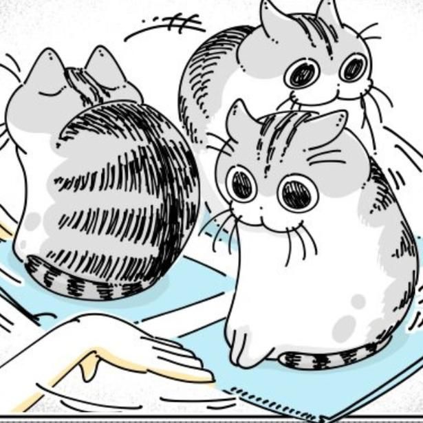 飼い主にかまってもらう猫 画像提供：キュルZ@kyuryuZ