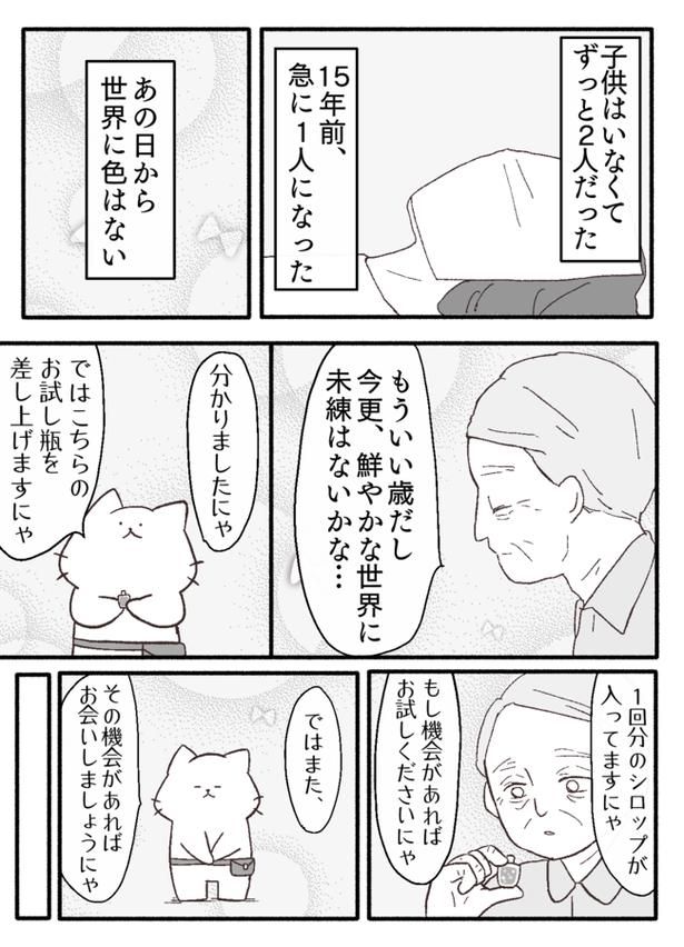 画像提供：猫原のしさん