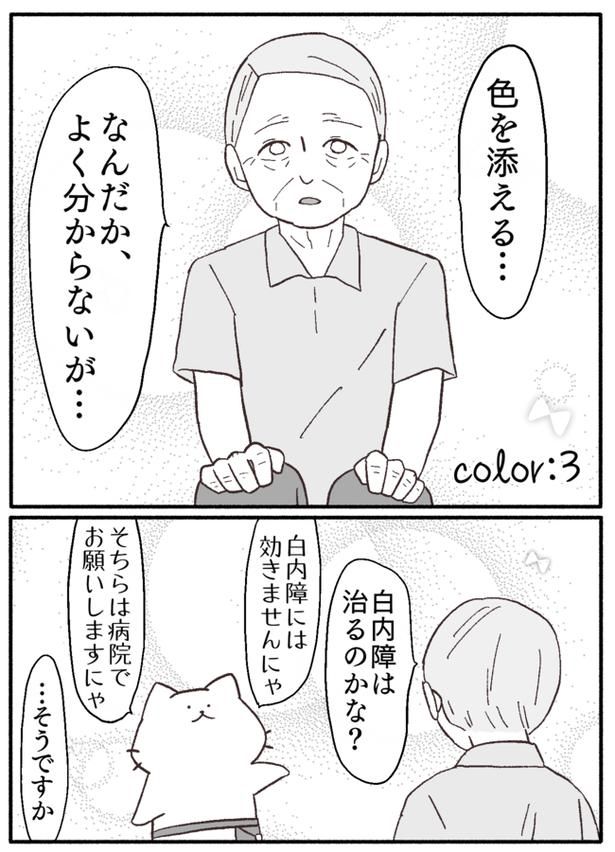 画像提供：猫原のしさん