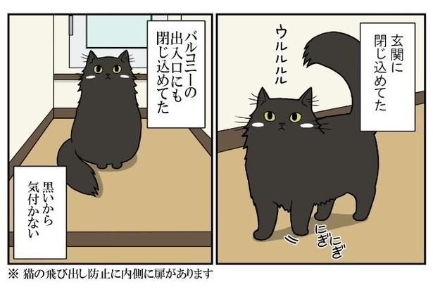 閉じ込められた経験数は数えきらず！ もちこ(@mogutchecho)
