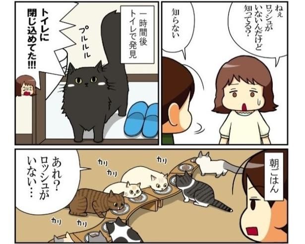 黒猫はなぜか閉じ込められがち!?夜はなおさら闇と同化してしまう!! もちこ(@mogutchecho)