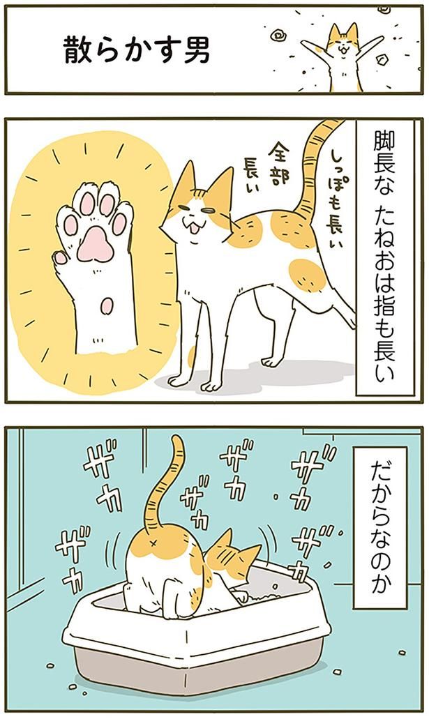 散らかす男 （C）卵山玉子／KADOKAWA