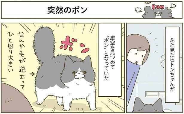 突然のボン （C）卵山玉子／KADOKAWA