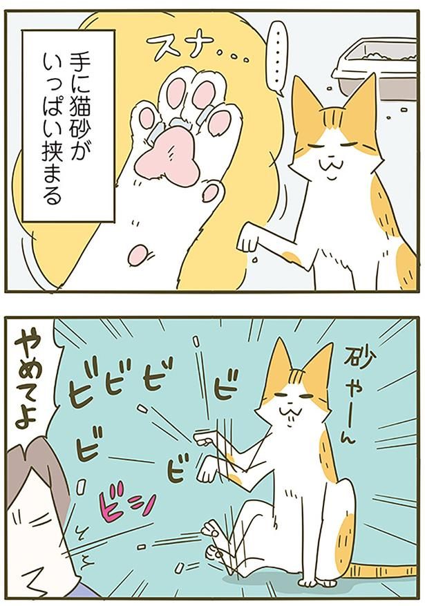 やめてよ！ （C）卵山玉子／KADOKAWA
