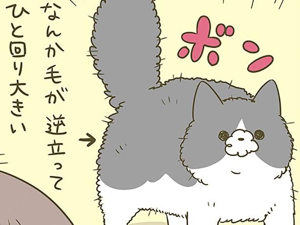 ボン！ （C）卵山玉子／KADOKAWA
