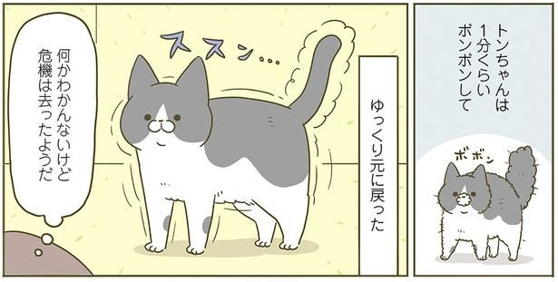 ゆっくり元に戻った （C）卵山玉子／KADOKAWA