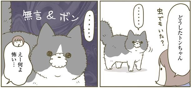 何よ怖い… （C）卵山玉子／KADOKAWA
