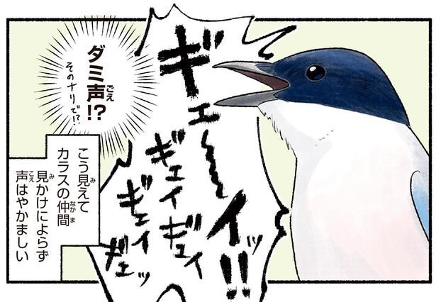 ダミ声！？ （C）piro piro piccolo／KADOKAWA