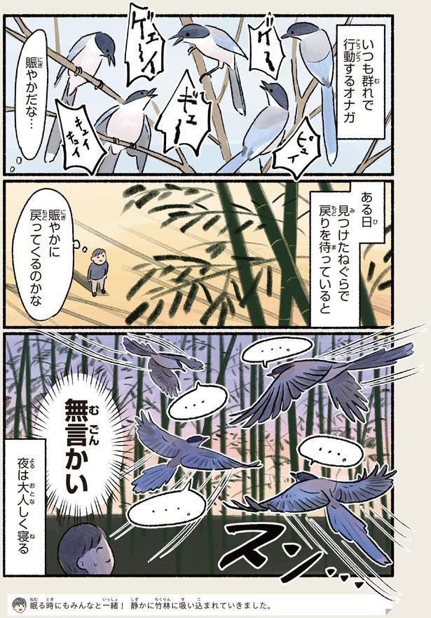 賑やかに戻ってくるのかな （C）piro piro piccolo／KADOKAWA