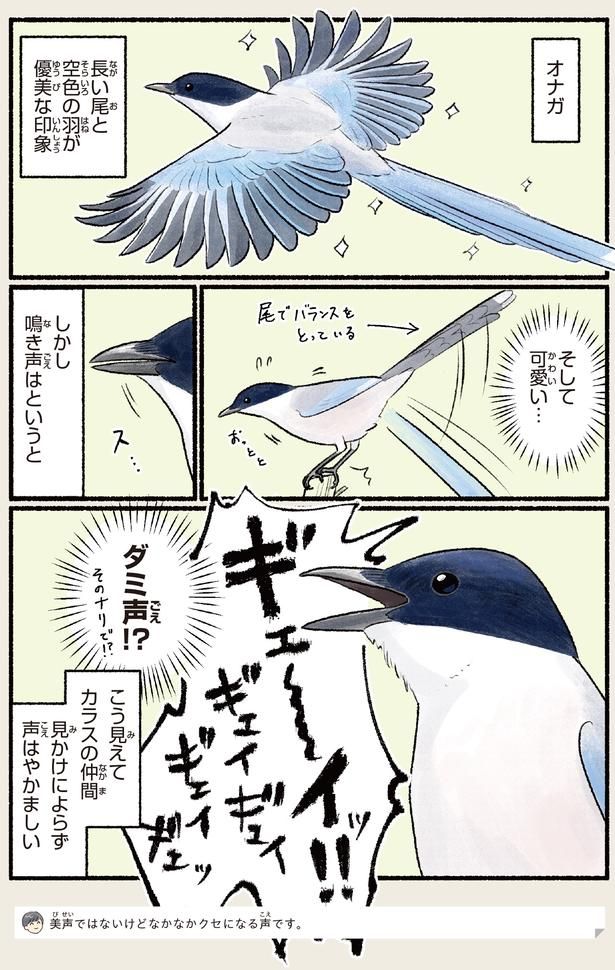 見かけによらず声はやかましい （C）piro piro piccolo／KADOKAWA