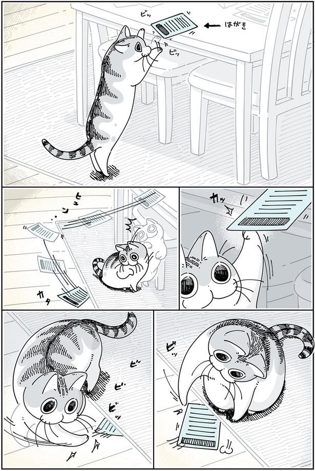 カーペットの下 （C）キュルZ／KADOKAWA