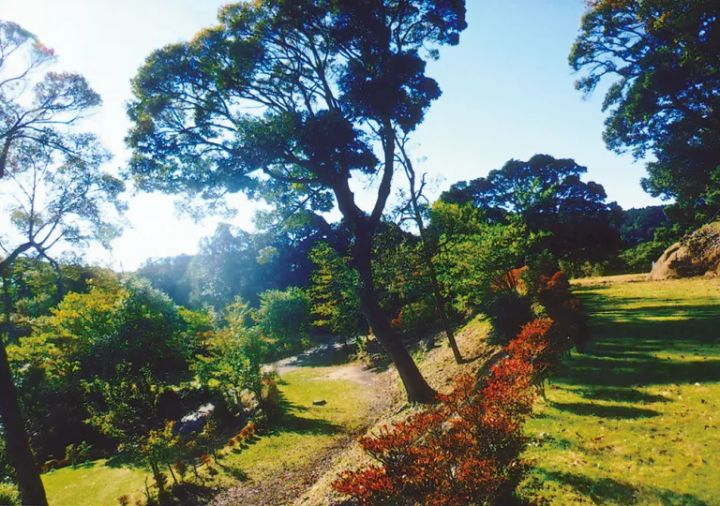 釣り好きにおすすめのキャンプ場17選【千葉県】