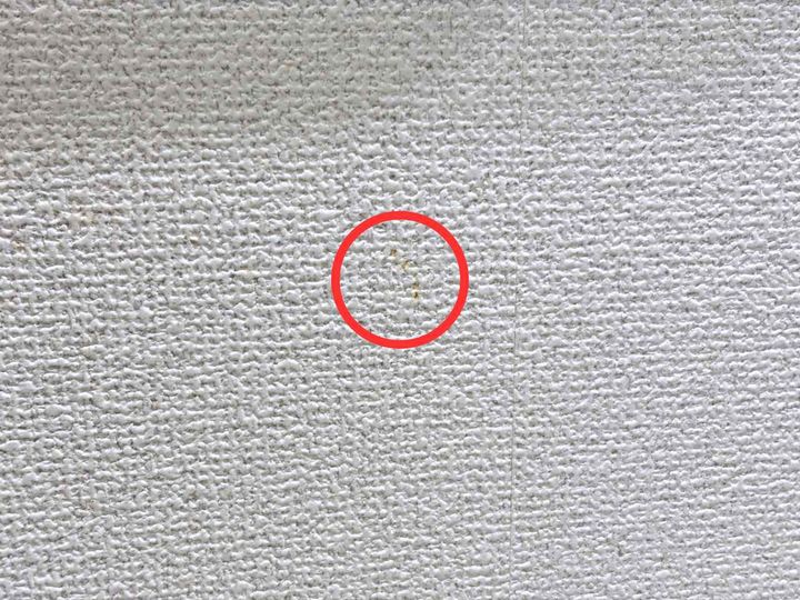 画像1: じゃない使い方② 壁の汚れ取り