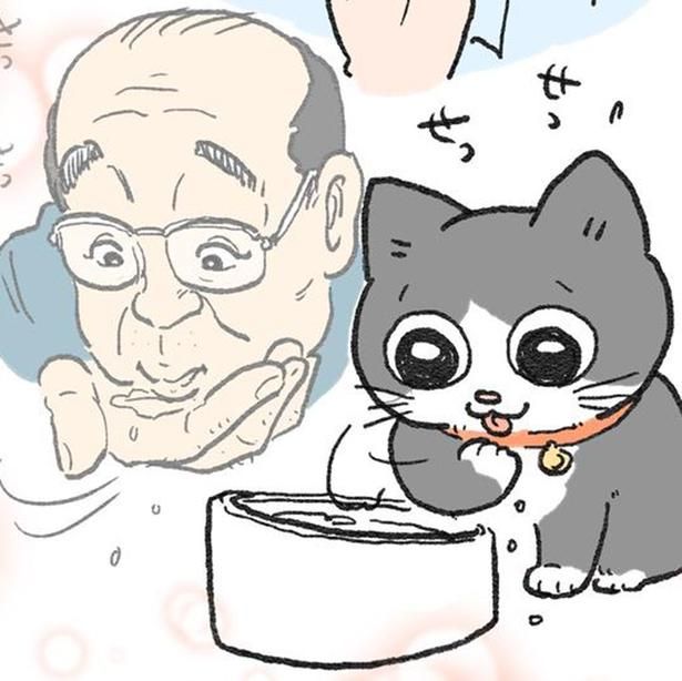 ねこに転生したおじさん 画像提供：やじま(@yajima_en)