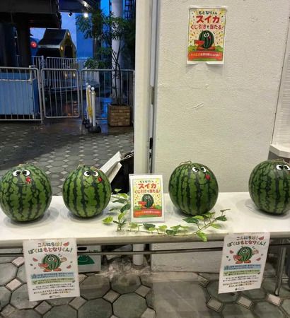 ひとり親家庭の親子を貸し切りの「浅草花やしき」に招待。夏休みに思い出を！