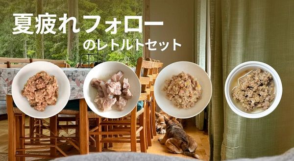 愛犬の疲れた体を労わる「POCHI 夏バテフォローのレトルトセット」発売！