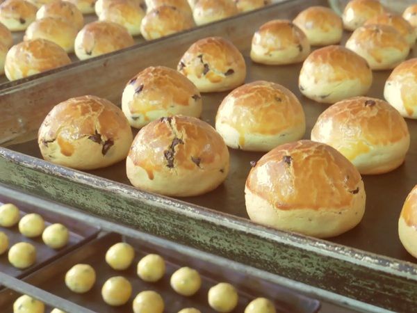 【鹿児島県出水市】菓匠田中が「75周年記念クッキー缶」を発売！見た目も華やかな6種類のクッキーを堪能
