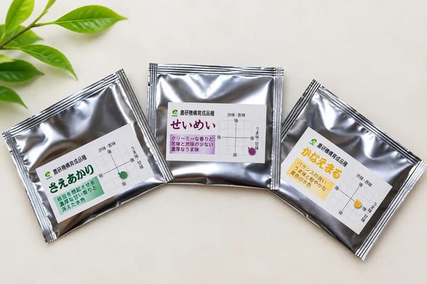鹿児島から次世代へのお茶の届け方を考える「鹿児島お茶大學3rd」開催！利き茶体験も