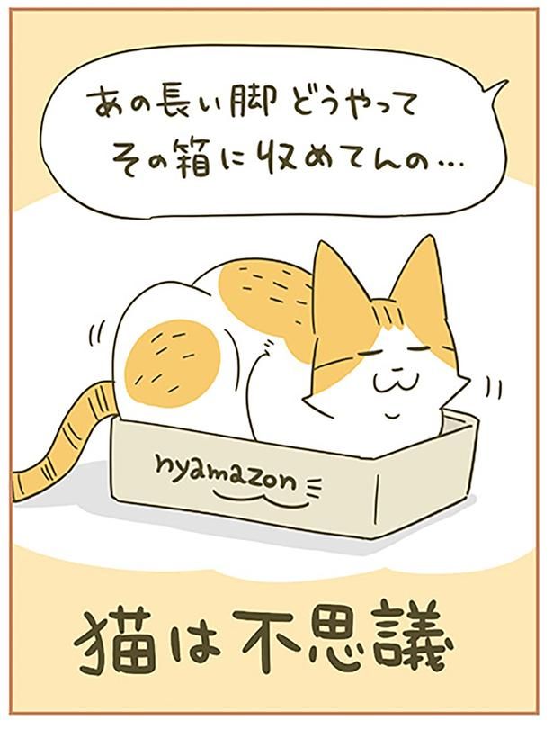 猫は不思議 （C）卵山玉子／KADOKAWA