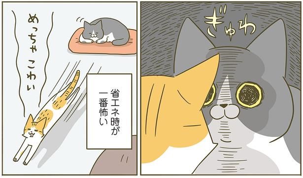省エネ時が一番怖い （C）卵山玉子／KADOKAWA
