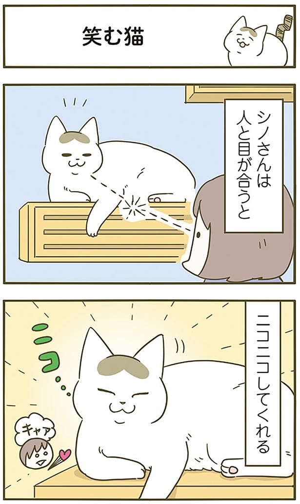 笑む猫 （C）卵山玉子／KADOKAWA