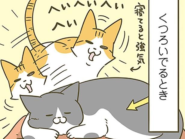 絡んでくる後輩猫に… （C）卵山玉子／KADOKAWA