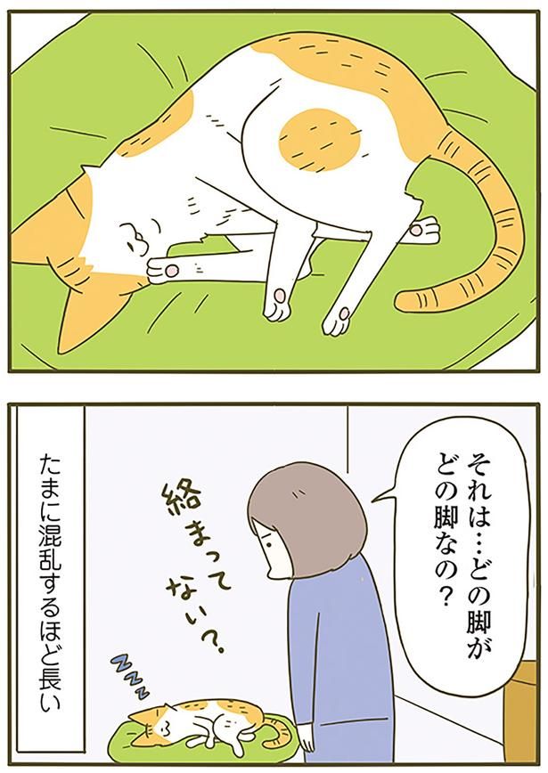 どの脚なの？ （C）卵山玉子／KADOKAWA