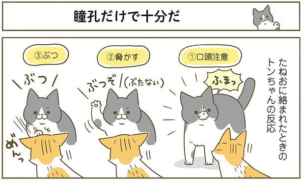 瞳孔だけで十分だ （C）卵山玉子／KADOKAWA