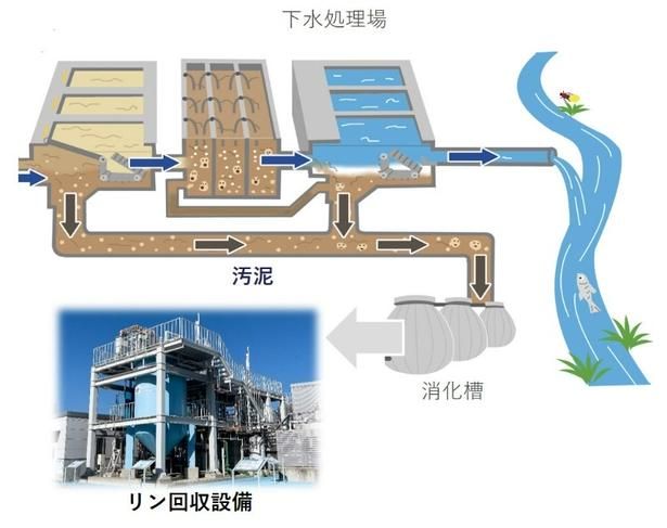 リン回収の流れ