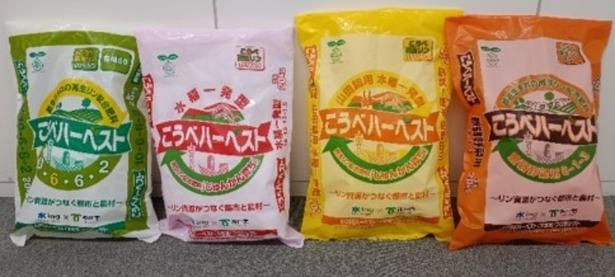 こうべハーベスト4種類