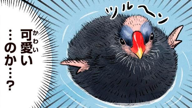 可愛い…のか…？ （C）piro piro piccolo／KADOKAWA