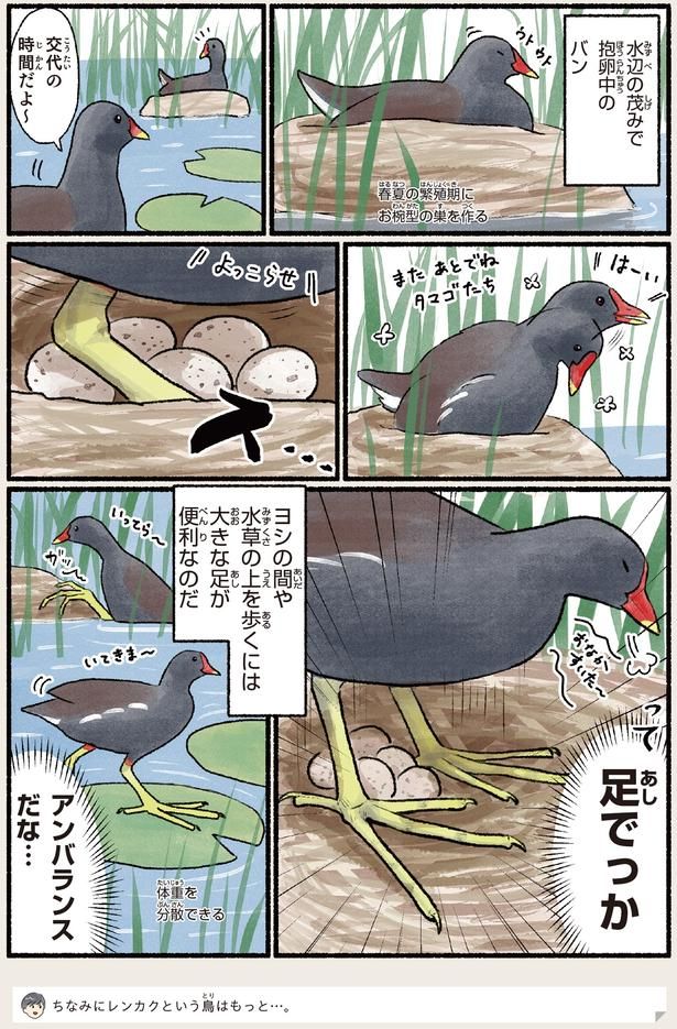 足でっか （C）piro piro piccolo／KADOKAWA
