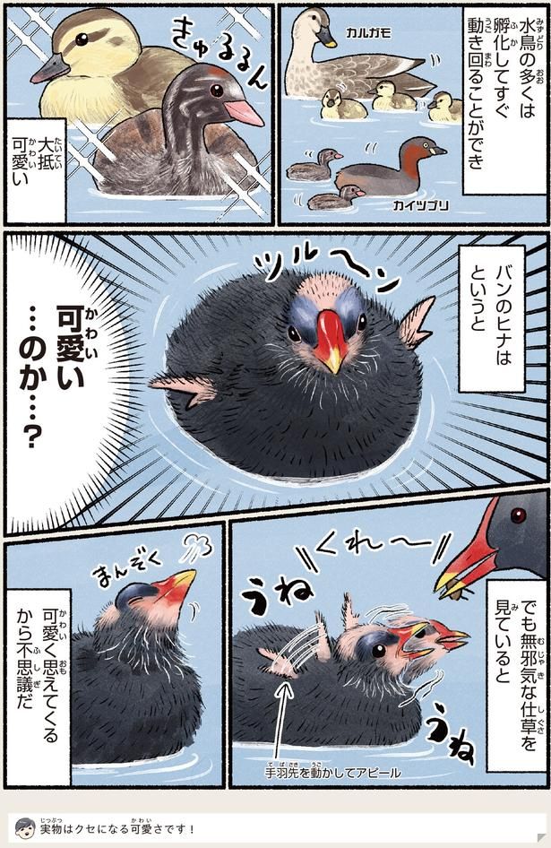 可愛く思えてくるから不思議だ （C）piro piro piccolo／KADOKAWA