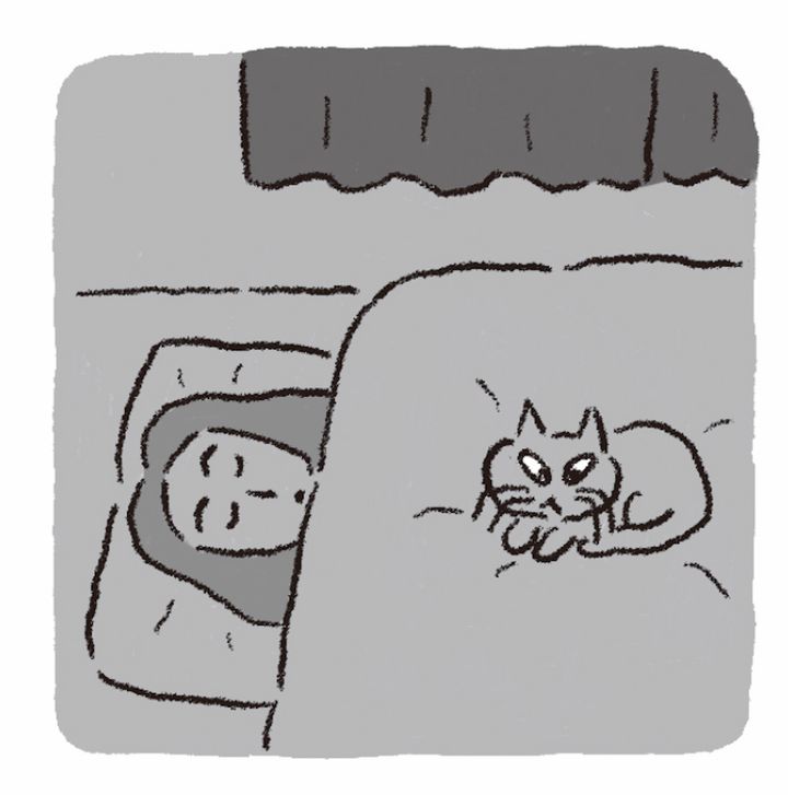 【不眠解消編】夏の3大不調をまるっと解決。症状別・自律神経ケアガイド