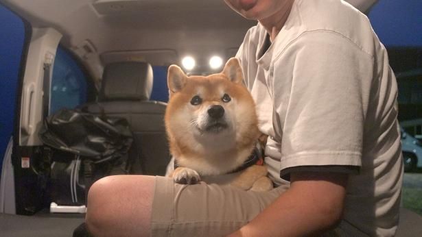 はちくんが初めての車中泊に挑戦！