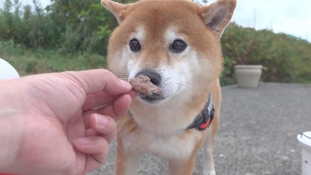 大好きなお肉！