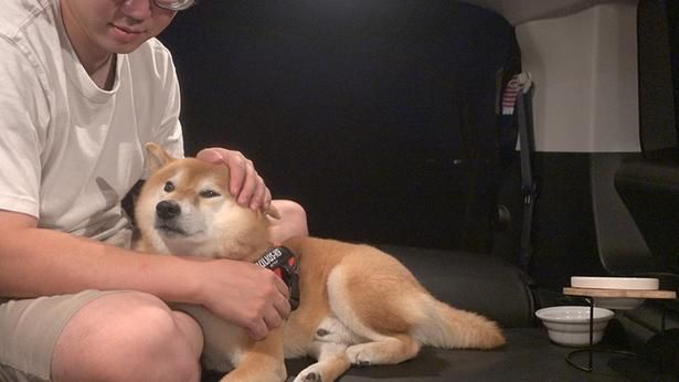 いつもと違う環境に、ちょっぴり不安げなはちくん