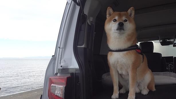 翌朝は雨も上がっていい天気！