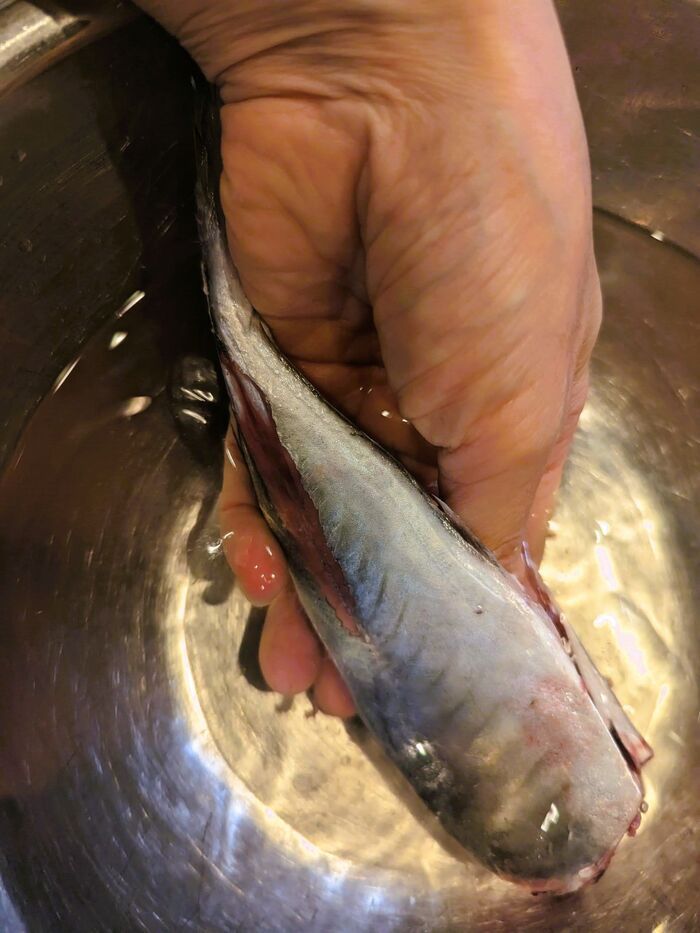 意外と知らない「洗う・洗わない」問題！〈卵、肉、魚〉迷う食材をまとめました！