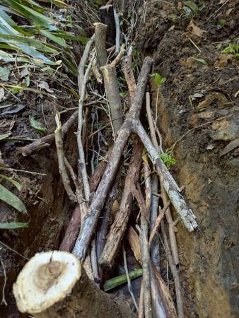 【長野県長野市】古民家を舞台に、農と建築を学び実践する「土中環境改善ワークショップ」開催！