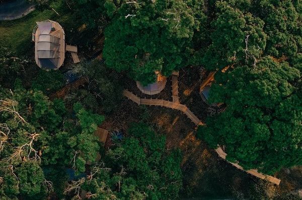 【宮崎県宮崎市】大型スクリーンで映画を観て、会場に泊まれる野外映画祭「AOSHIMA FILM FES」初開催！