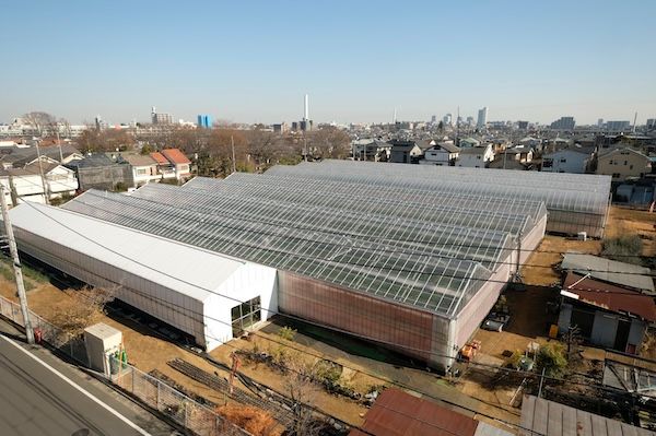 【東京都練馬区】東京産いちご農園カフェ「Ichigo Tokyo」開店！ジェラートなどスイーツを提供