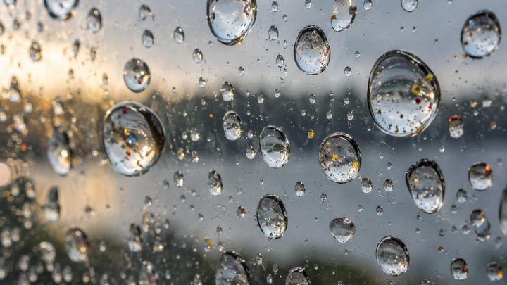 スイスの土や水に年間200トン超の微小プラスチックが降る