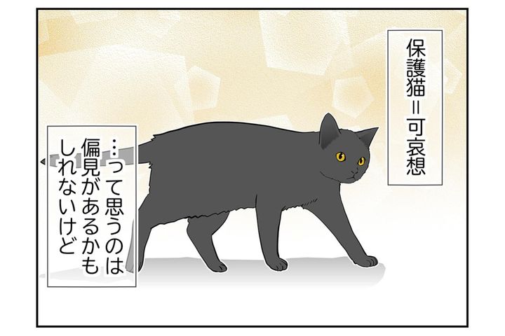 【マンガ・老猫日誌＃119】保護猫＝可哀想、それは偏見かもしれないけど〜思い出の老猫日誌・桃姐と小論