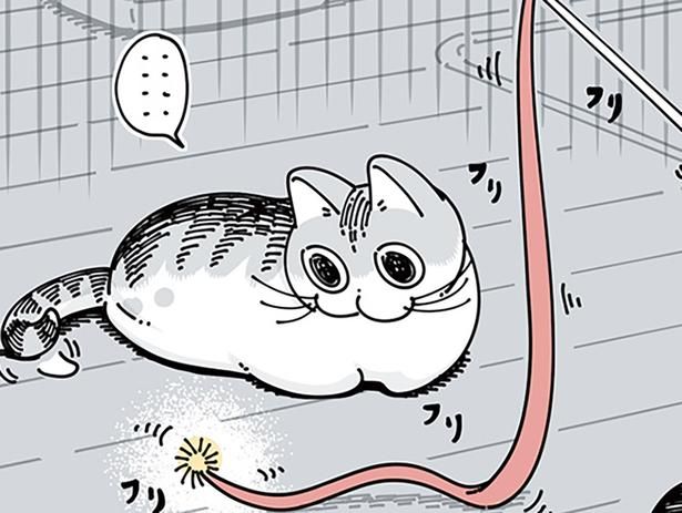 紐状のおもちゃを買ってきたら （C）キュルZ／KADOKAWA