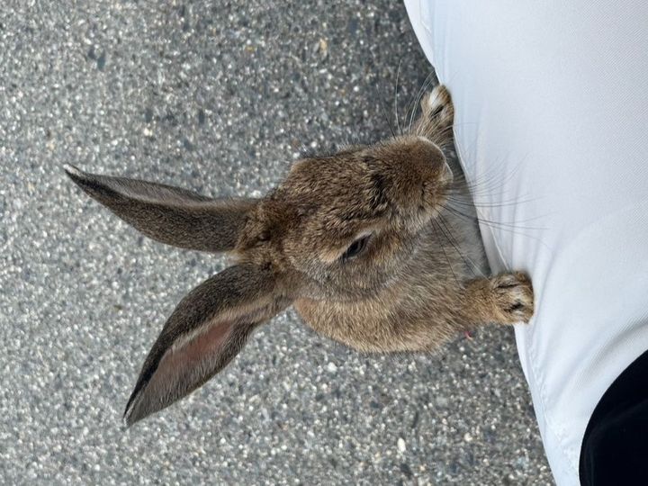 観光にぴったり！まさに「楽園」な無人島