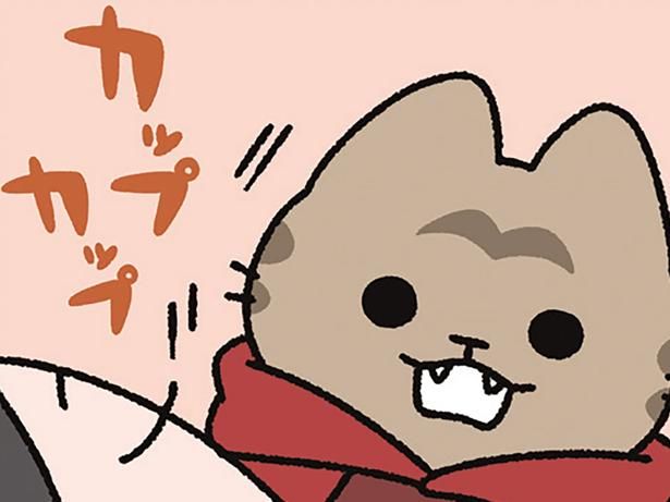 ねこ王子の行動 （C）ぱんだにあ／KADOKAWA