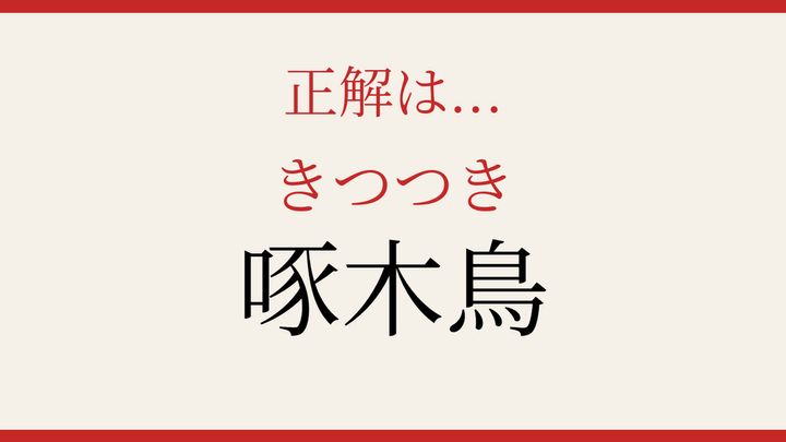 【難読漢字】つい読み間違える！木をつつく野鳥の解答画像